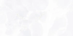 Настенная плитка ALMA Ceramica TWU09BGM007 Bergamo 50x24.9 белая глянцевая под камень