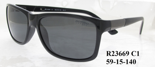 R23669