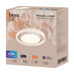 Потолочный светильник Freya FR6243CL-L109W