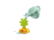 DUPLO 10981 Growing Carrot