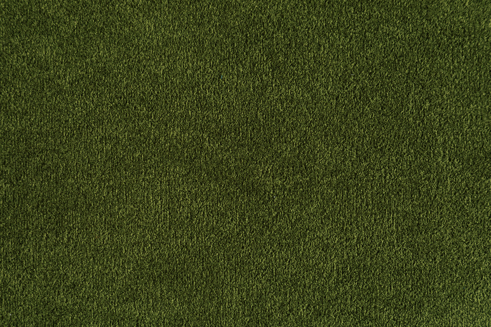 Микровелюр Barsa grass (Барса грасс) 813