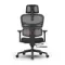 FoxGear NETZ XO Office Edition Black