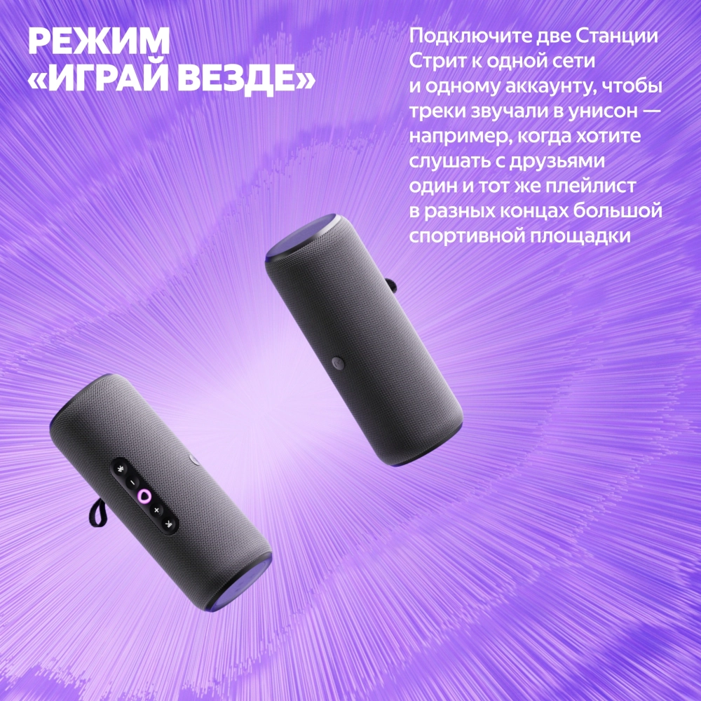 Умная колонка Yandex Стрит Алиса серый 30W 2.0 BT/Wi-Fi 10м 3300mAh (YNDX-00030GRY)