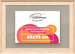 Рамка 50x75 для постера и фотографий
