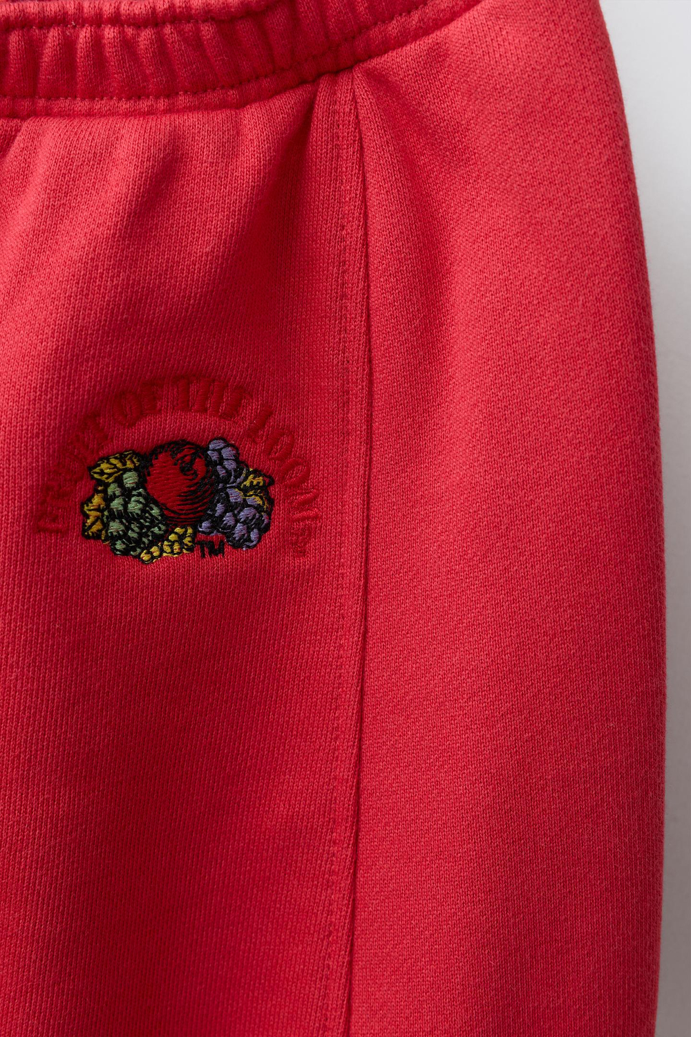 ZARA - FRUIT OF THE LOOM™ БРЮКИ С ВЫШИВКОЙ, КРАСНЫЙ