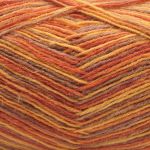 Пряжа Astra Premium (Астра Премиум) Карелия носочная (Karelia sock) / уп.2 мот. по 100 г, 400 м, 1001