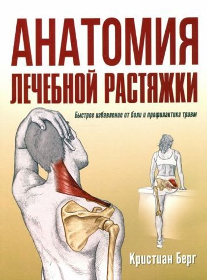 Анатомия лечебной растяжки: быстрое избавление от боли и профилактика травм