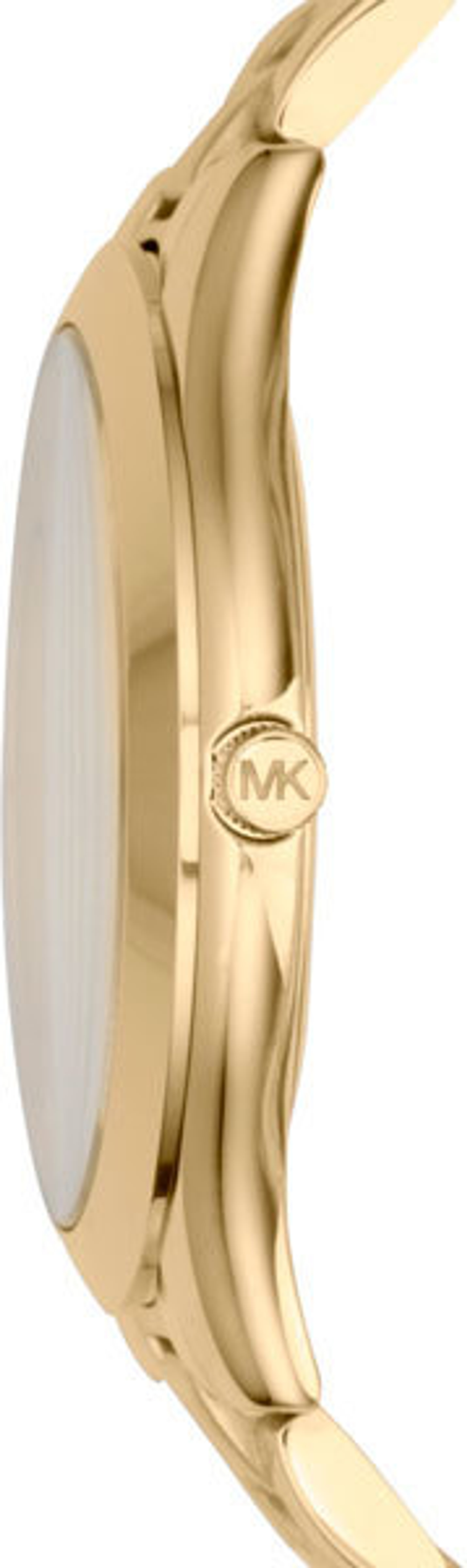 Наручные часы Michael Kors MK3179