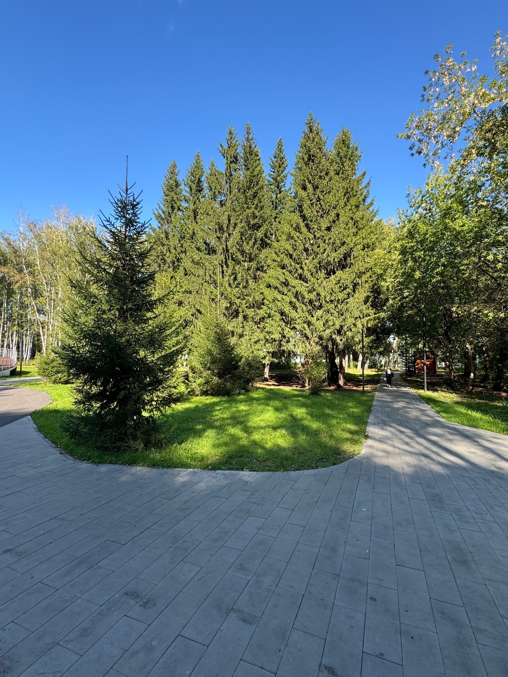1-комнатная квартира, 31,5 м² / Чистовая отделка