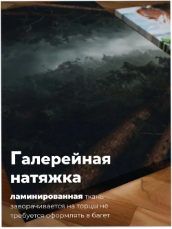 Картина Одинокий сокол над лесом модульная 50x70см 3шт.