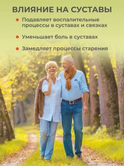 Набор Антиоксидантный (омега, куркумин, аскорбат)