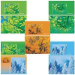Тетрадь А5, 48 л., HATBER-ECO, скоба, офсет №2 ЭКОНОМ, клетка, обложка картон, "Seasons", 48Т5D1, 5шт