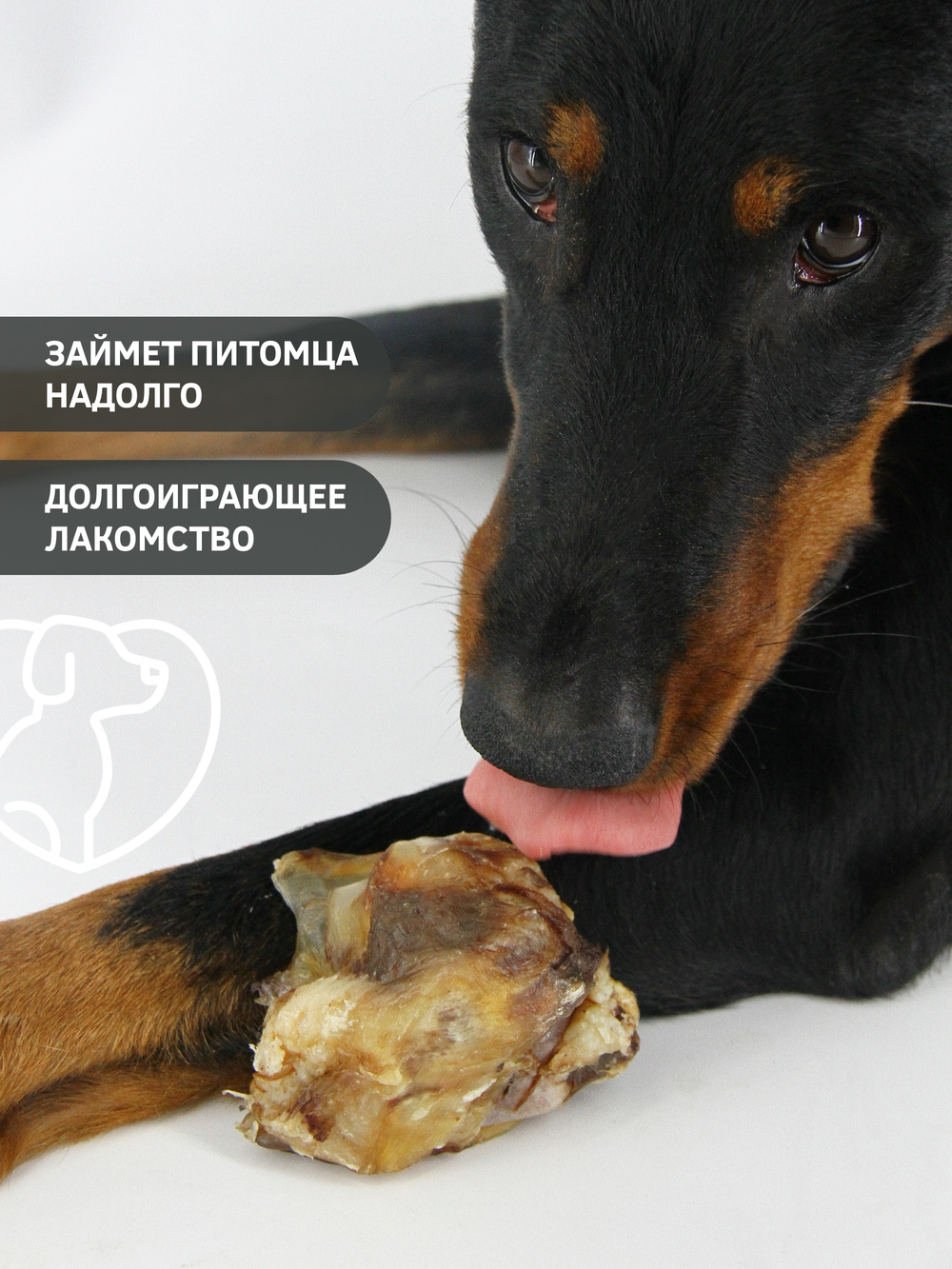 Говяжья коленка (малая) — лакомство для собак