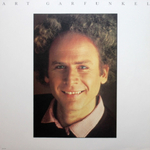 Simon And Garfunkel / The Simon And Garfunkel Collection (LP)