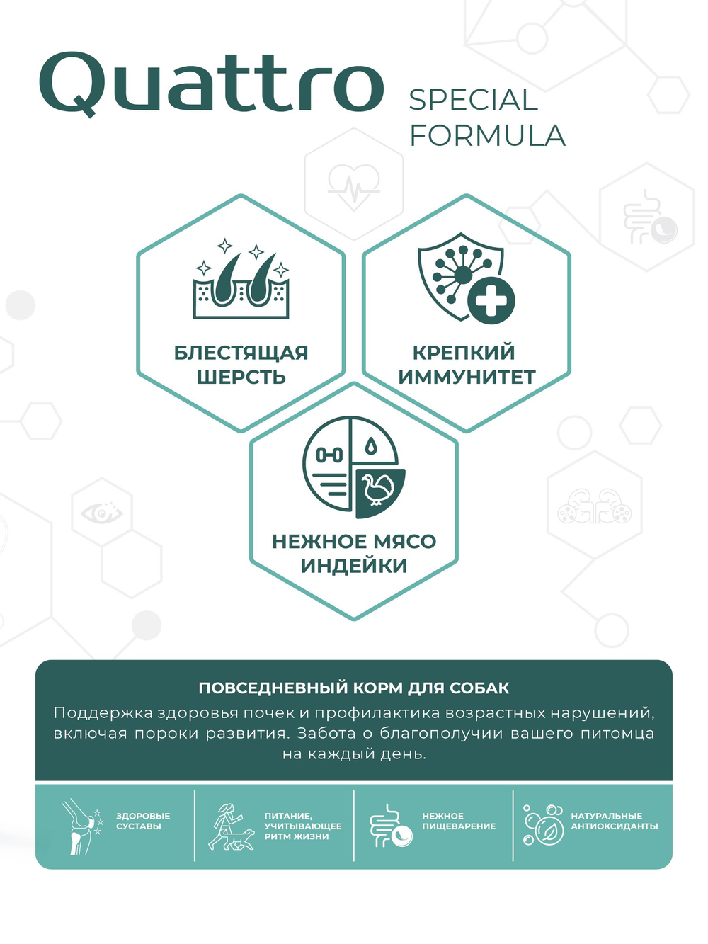 Корм для собак средних и крупных пород SF Renal Develop, (пороки развития почек), 3 кг, QUATTRO