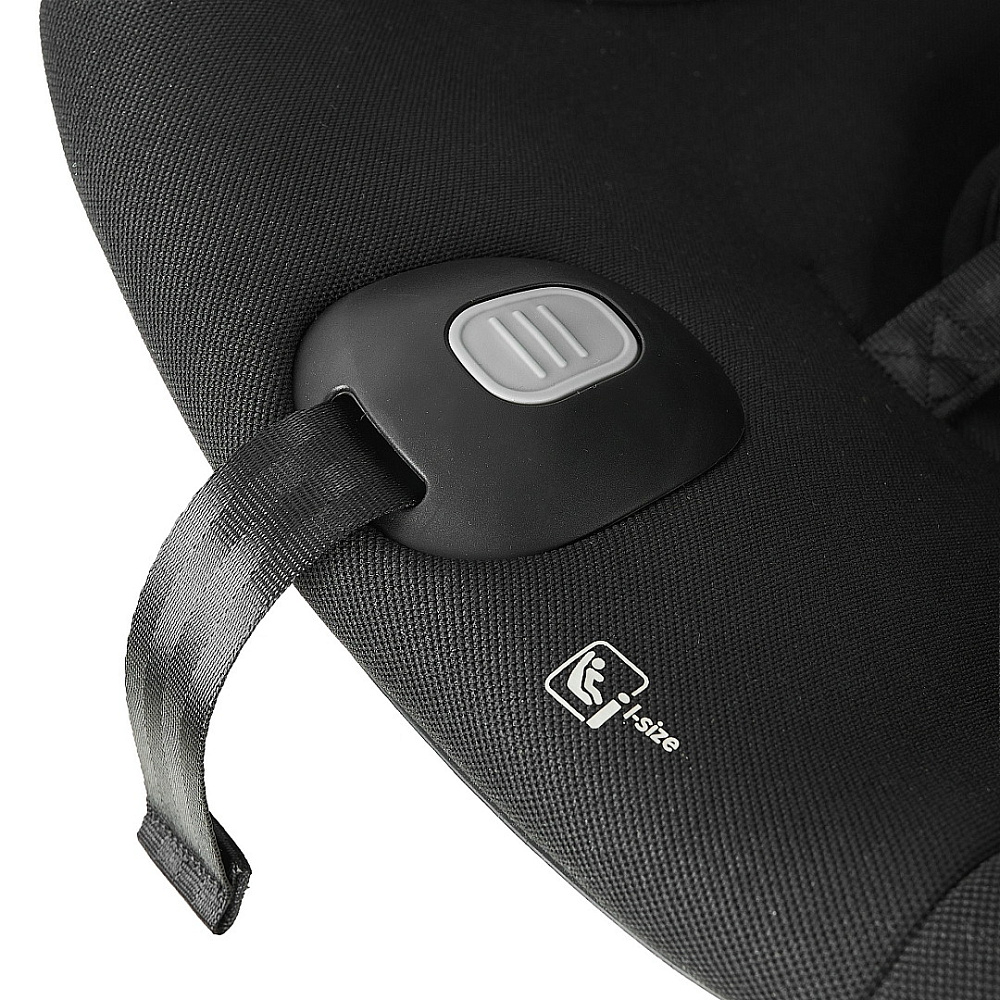 Детская коляска Roan Bass Next 2.0 3 в 1 с автокреслом Pituso Baesa Pro Black,Beige Canopy BSN/43/2 Sage Green/Black/руч.Black