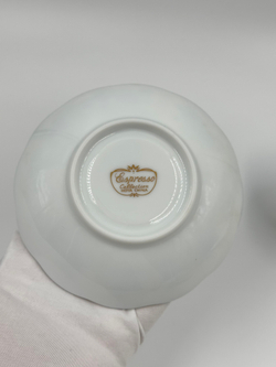 Кофейная пара HOYA