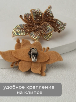 Клипсы Украшение для туфлей