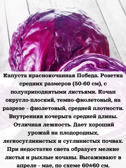 Семена Капуста набор микс 8 шт