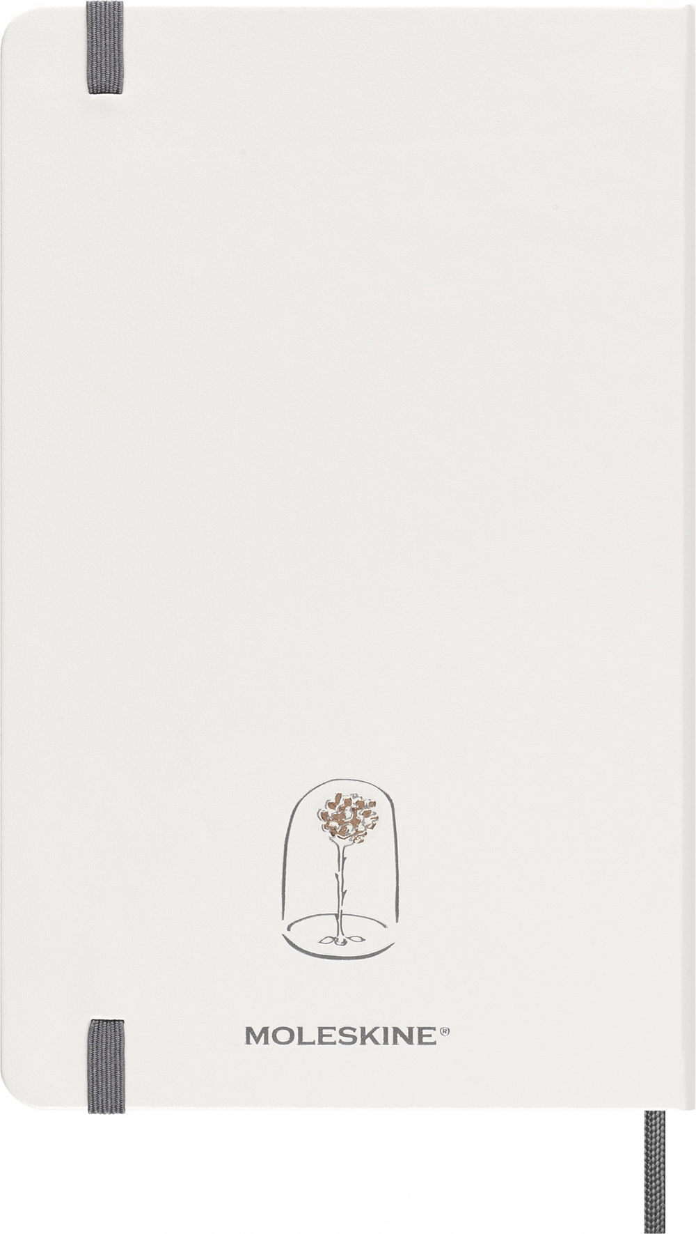 Набор Moleskine LE Petit Prince (BUNDUNDPP0412MWH) недат. еженедельник и блокнот в линейку в подарочной коробке