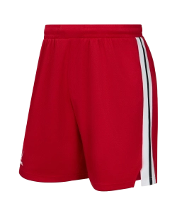 Шорты баскетбольные JÖGEL DIVISION PerFormDRY Shorts R2, красный