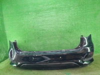 DSCN6019.JPG