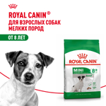 Royal Canin Mini Adult 8+ Мини Эдалт Корм сухой для взрослых собак мелких пород старше 8 лет 2кг
