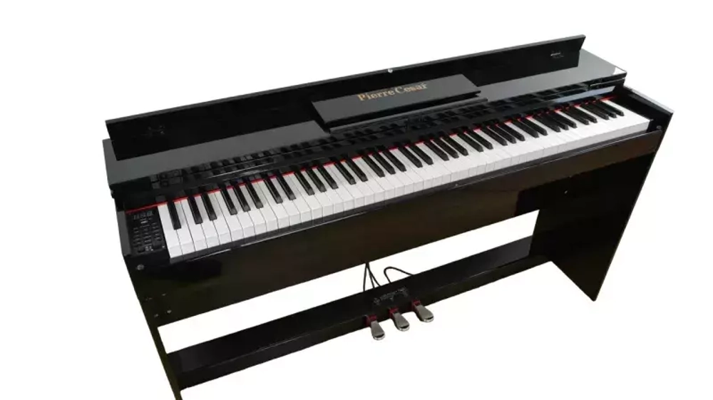 Pierre Cesar XY-8813-H