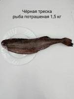 Угольная рыба (чёрная треска) без головы 1,5 кг