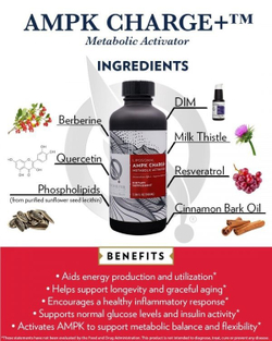 AMPK Charge+ 100 ml