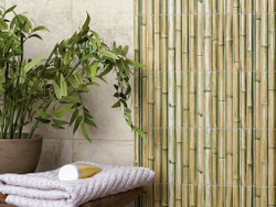 BAMBOO
