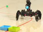 Образовательный набор "РобоПаук ИН Про", полный комплект на Raspberry Pi