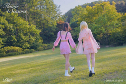 Альбом DIA - Flower 4 Seasons 6th Mini Album RANDOM Version