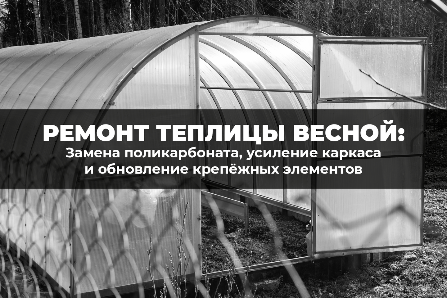 Весенний ремонт теплицы: пошаговое восстановление после зимних нагрузок