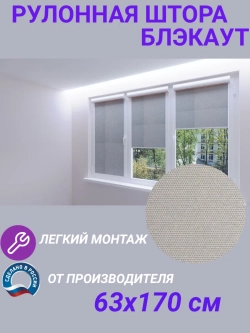 Рулонные шторы жалюзи 63х170 см Блэкаут