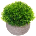 Цветочная композиция «Green garden» 10*12см в горшке, трава