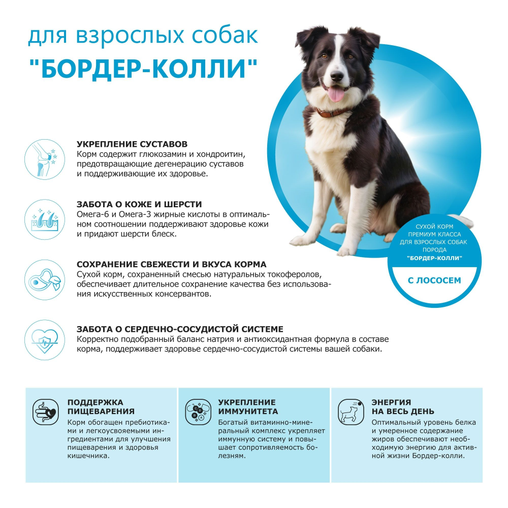 Корм сухой для взрослых собак породы Бордер-колли, премиум полнорационный комплекс, с лососем, 2,5 кг, QUATTRO