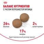 Royal Canin Maxi Adult Макси Эдалт Корм сухой для взрослых собак крупных размеров от 15 месяцев до 5 лет 15 кг
