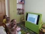 Интерактивный сенсорный стол Olodim Соник 50"