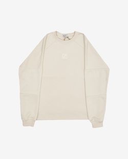 Толстовка Raglan Sweatshirt Logo Turtledove бежевая