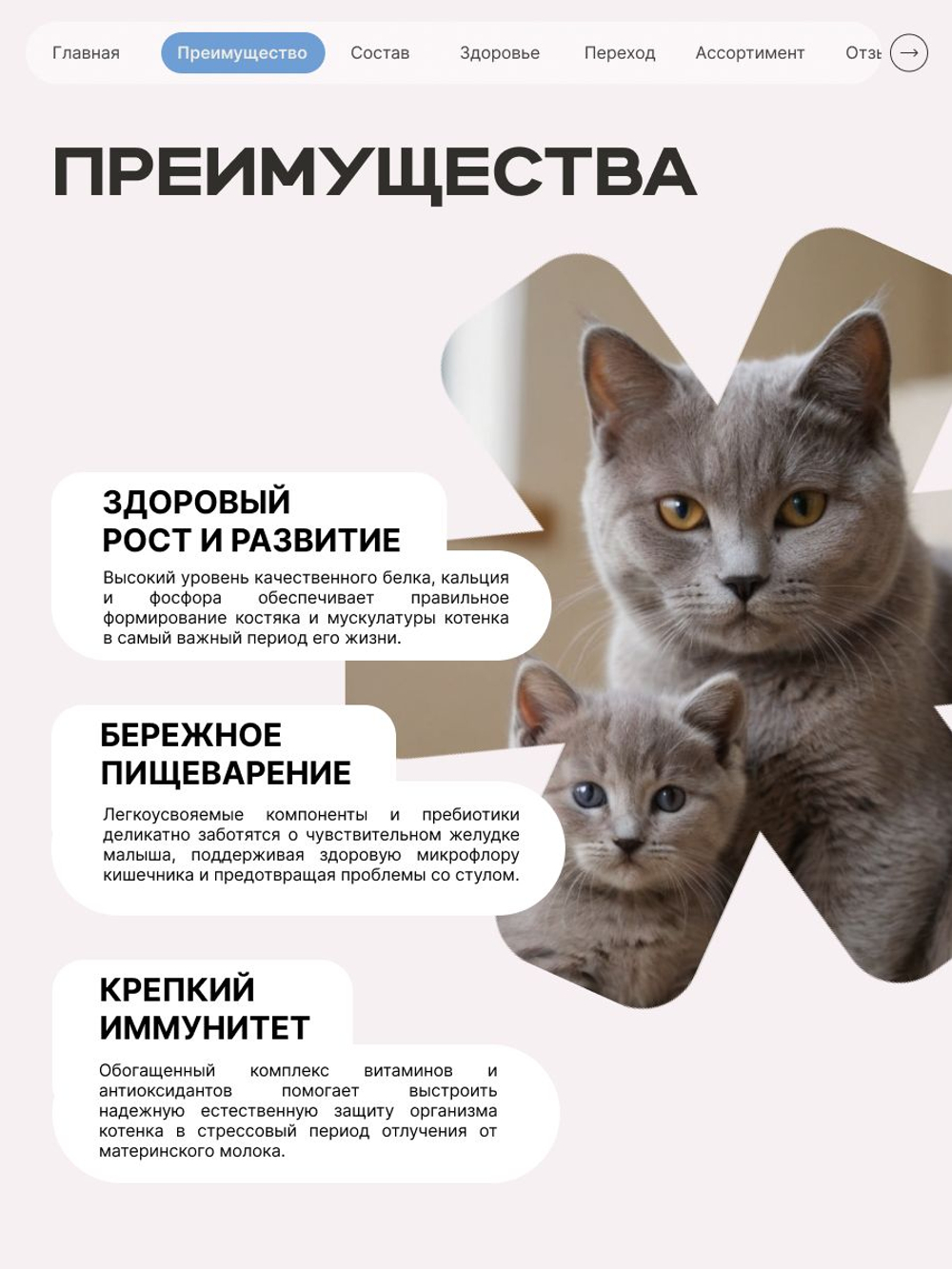 Корм сухой для котят породы Невская маскарадная, с лососем, 2 кг, QUATTRO