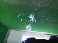 DSCN8982.JPG