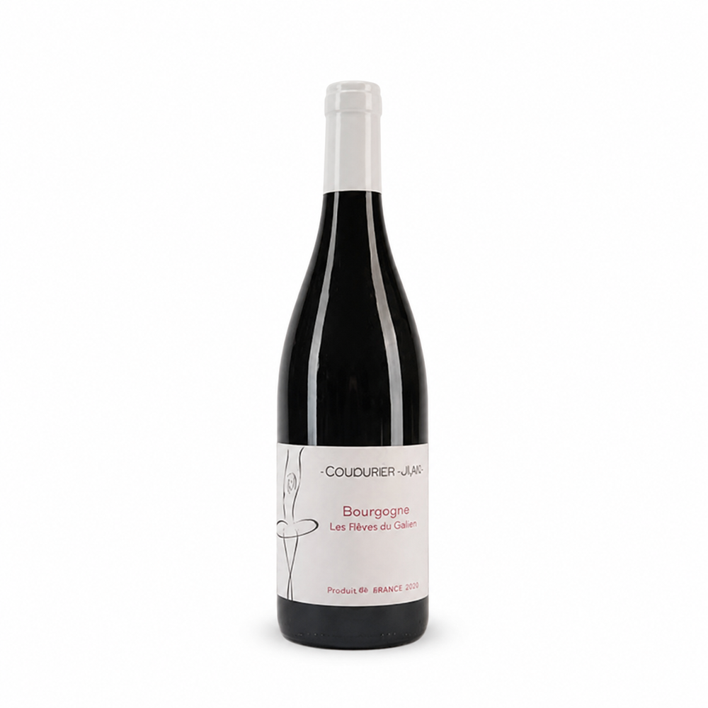 Вино Coudurier-Jung Bourgogne Le Rêve de Gabriel Rouge 2022