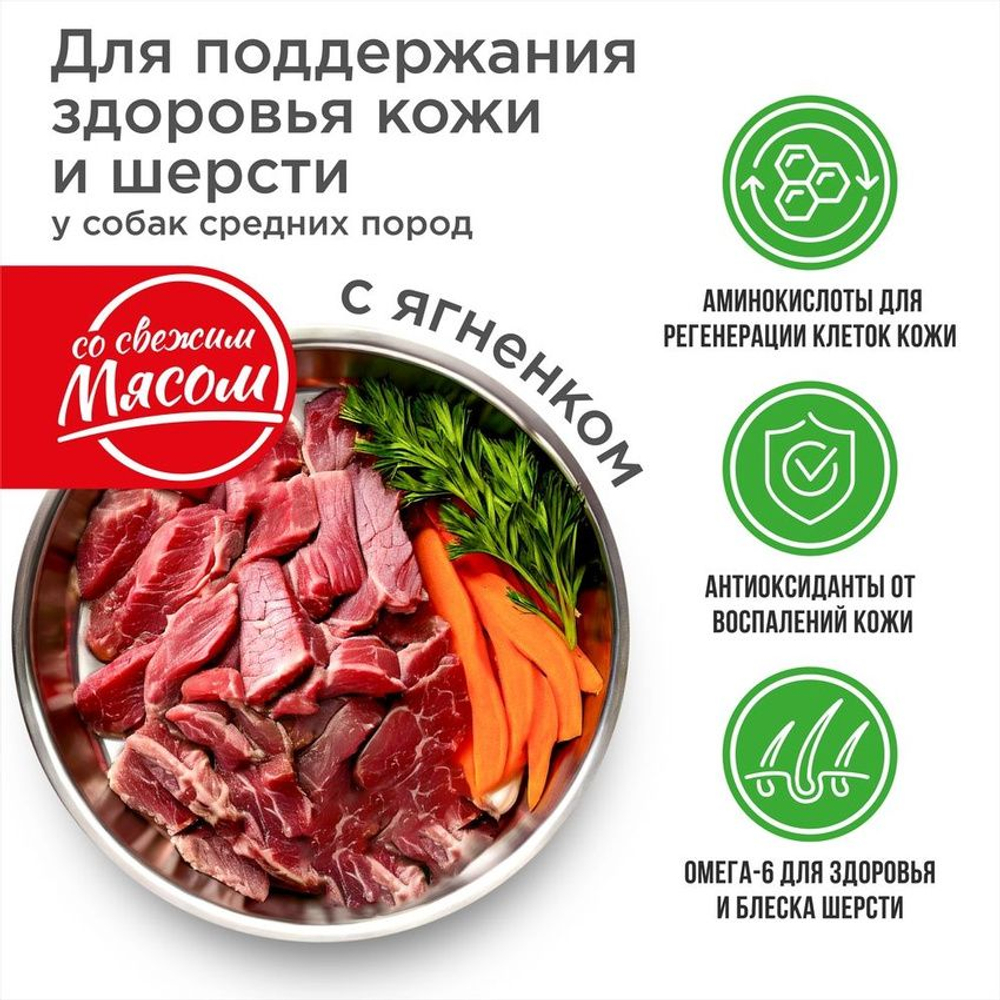 Корм сухой для взрослых собак породы Русская псовая борзая, с ягненком, 2.5 кг, QUATTRO