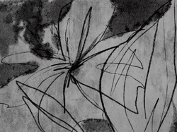 ROCKART 5