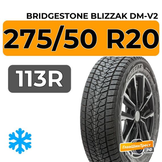 Bridgestone Blizzak DM-V2 275/50 R20 113R