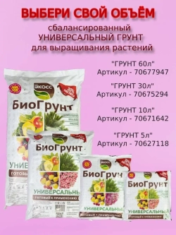 Удобрение для хвойных 1л
