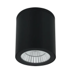 Уличный потолочный светильник Arte Lamp TORCULAR A1813PF-1BK, 1хLED