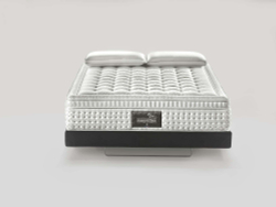 MAESTRO DUAL 14