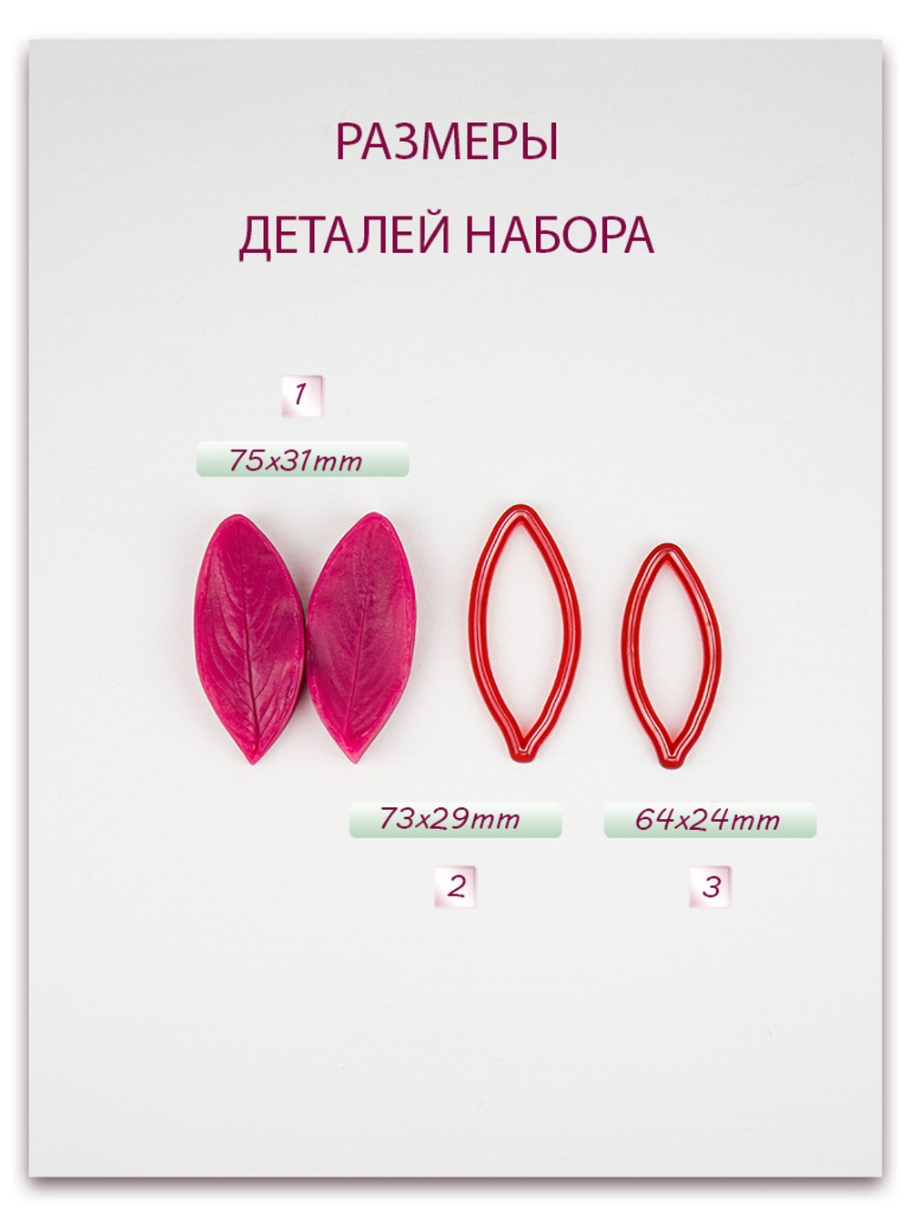 Лист катарантуса